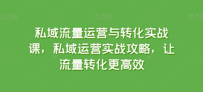 私域流量运营与转化实战课，私域运营实战攻略，让流量转化更高效-大东资源库