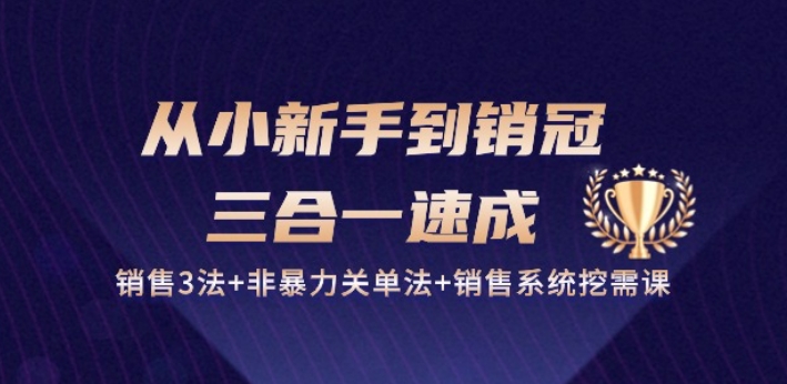 从小新手到销冠 三合一速成：销售3法+非暴力关单法+销售系统挖需课 (27节)-大东资源库