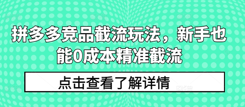 拼多多竞品截流玩法，新手也能0成本精准截流-大东资源库