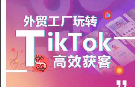 外贸工厂玩转TikTok高效获客，多种引流方式与账号定位技巧，拆解爆款短视频打造成功案例-大东资源库