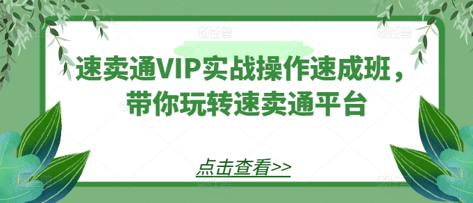 速卖通VIP实战操作速成班，带你玩转速卖通平台-大东资源库
