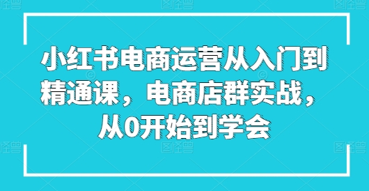 小红书电商运营从入门到精通课，电商店群实战，从0开始到学会-大东资源库