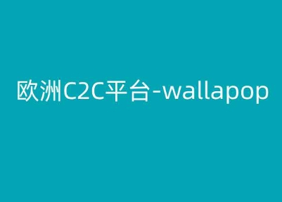 欧洲C2C平台-wallapop-kim跨境电商教程-大东资源库