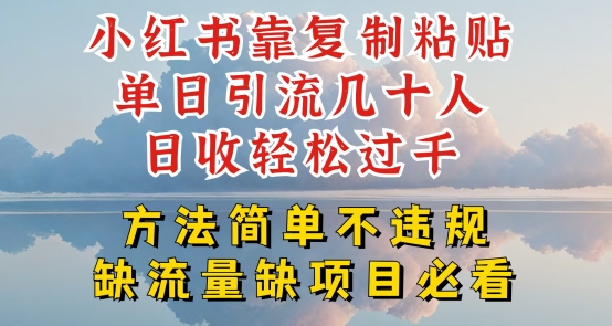 小红书靠复制粘贴单日引流几十人目收轻松过千，方法简单不违规【揭秘】-大东资源库