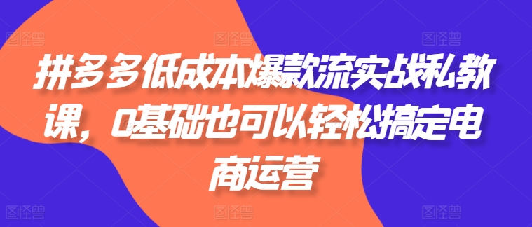拼多多低成本爆款流实战私教课，0基础也可以轻松搞定电商运营-大东资源库
