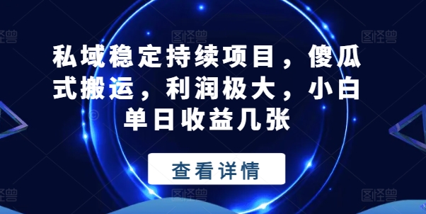 私域稳定持续项目，傻瓜式搬运，利润极大，小白单日收益几张【揭秘】-大东资源库