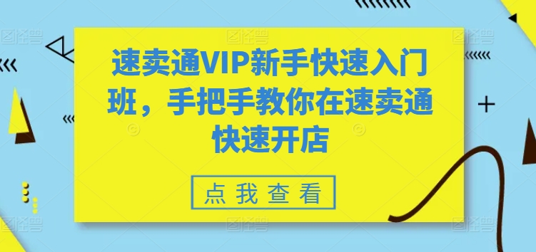 速卖通VIP新手快速入门班，手把手教你在速卖通快速开店-大东资源库