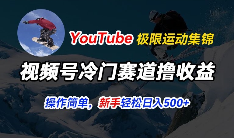 视频号冷门赛道撸收益，YouTube搬运极限运动集锦，暴力起号，操作简单流量高，轻松日入5张【揭秘】-大东资源库