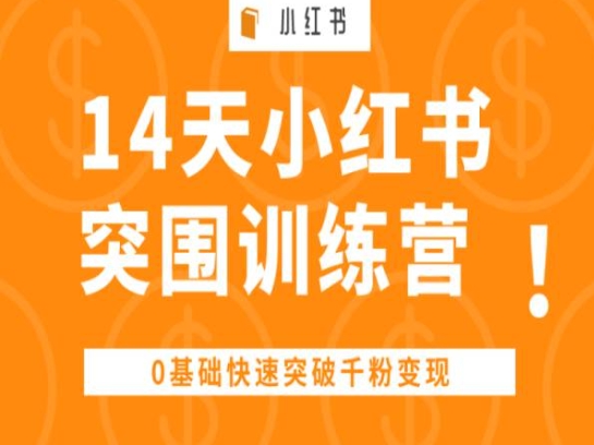 14天小红书突围训练营 ，0基础快速突破千粉变现-大东资源库