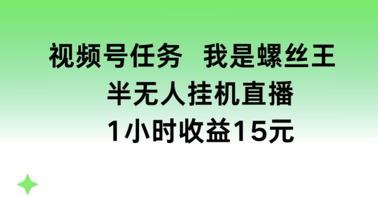 视频号任务，我是螺丝王， 半无人挂机1小时收益15元【揭秘】-大东资源库