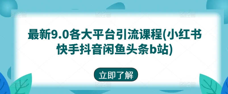 最新9.0各大平台引流课程(小红书快手抖音闲鱼头条b站)-大东资源库