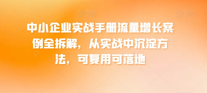 中小企业实战手册流量增长案例全拆解，从实战中沉淀方法，可复用可落地-大东资源库