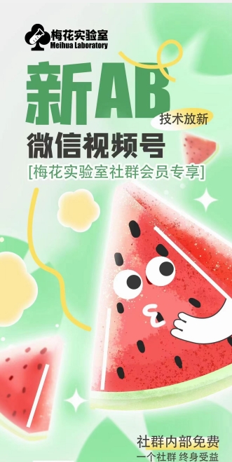梅花实验室2024年AB技术视频号AB合成破解版-大东资源库