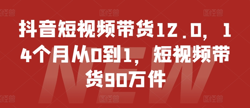 抖音短视频带货12.0，14个月从0到1，短视频带货90万件-大东资源库