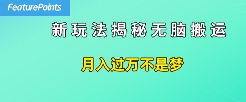 简单操作，每天50美元收入，搬运就是赚钱的秘诀【揭秘】-大东资源库