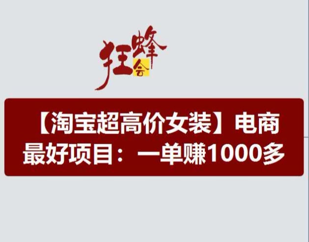 淘宝超高价女装项目，电商最好赛道，一单赚1000多-大东资源库