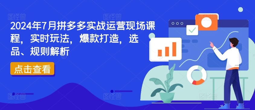 2024年7月拼多多实战运营现场课程，实时玩法，爆款打造，选品、规则解析-大东资源库