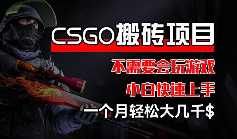 CSGO 装备搬砖项目，操作简单，不需要会玩游戏，小白也能快速上手，一个月轻松大几千【揭秘】-大东资源库