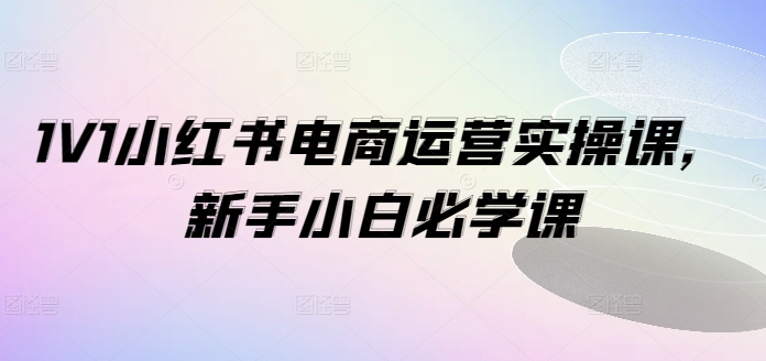 1V1小红书电商运营实操课，新手小白必学课-大东资源库