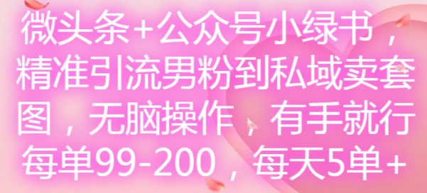 微头条+公众号小绿书，精准引流男粉到私域卖套图，无脑操作，有手就行，每单99-200，每天5单-大东资源库