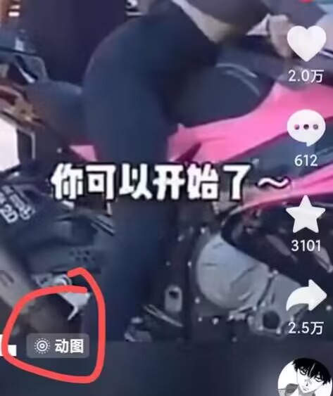 2024年7月苹果手机动图搬运技术-大东资源库