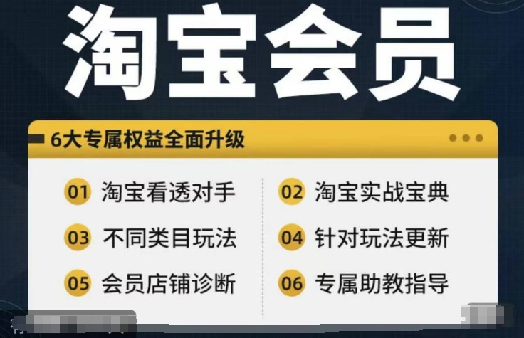 淘宝会员【淘宝所有课程，全面分析对手】，初级到高手全系实战宝典-大东资源库