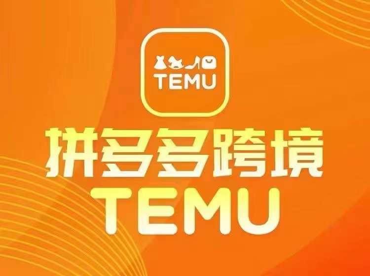 最新TEMU拼多多跨境教程，开店、运营、选品-大东资源库