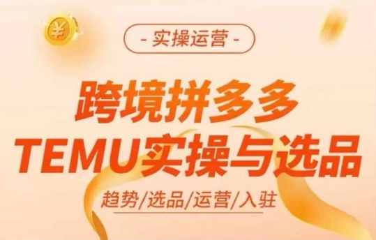 跨境拼多多TEMU实操与选品，多多temu跨境选品运营实操-大东资源库