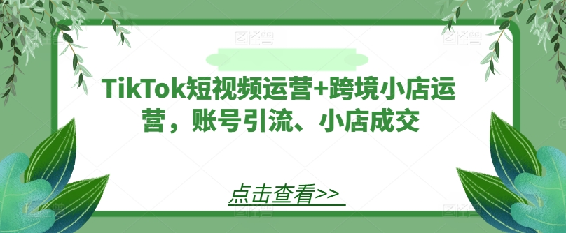 TikTok短视频运营+跨境小店运营，账号引流、小店成交-大东资源库