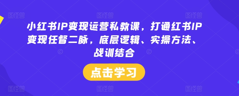 小红书IP变现运营私教课，打通红书IP变现任督二脉，底层逻辑、实操方法、战训结合-大东资源库
