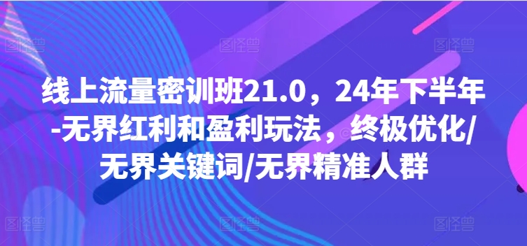 线上流量密训班21.0，24年下半年-无界红利和盈利玩法，终极优化/无界关键词/无界精准人群-大东资源库