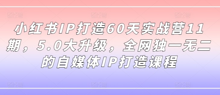 小红书IP打造60天实战营11期，5.0大升级，全网独一无二的自媒体IP打造课程-大东资源库