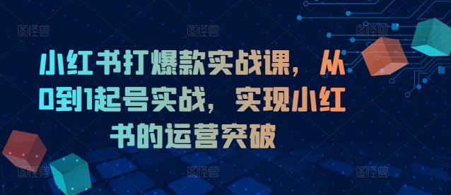 小红书打爆款实战课，从0到1起号实战，实现小红书的运营突破-大东资源库