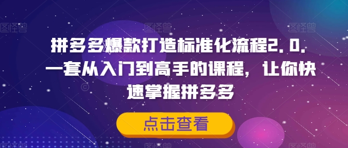 拼多多爆款打造标准化流程2.0，一套从入门到高手的课程，让你快速掌握拼多多-大东资源库