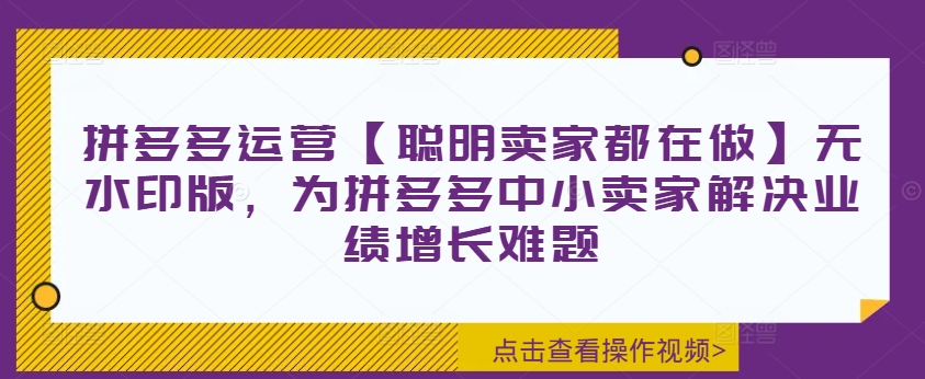 拼多多运营【聪明卖家都在做】无水印版，为拼多多中小卖家解决业绩增长难题-大东资源库