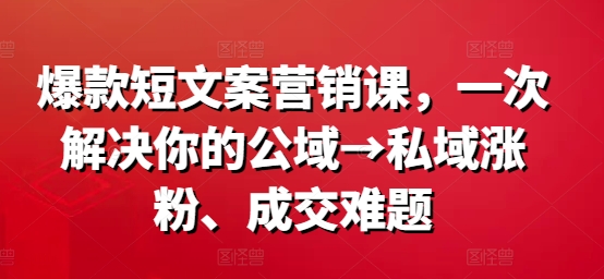 爆款短文案营销课，一次解决你的公域→私域涨粉、成交难题-大东资源库
