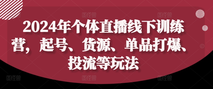 2024年个体直播训练营，起号、货源、单品打爆、投流等玩法-大东资源库