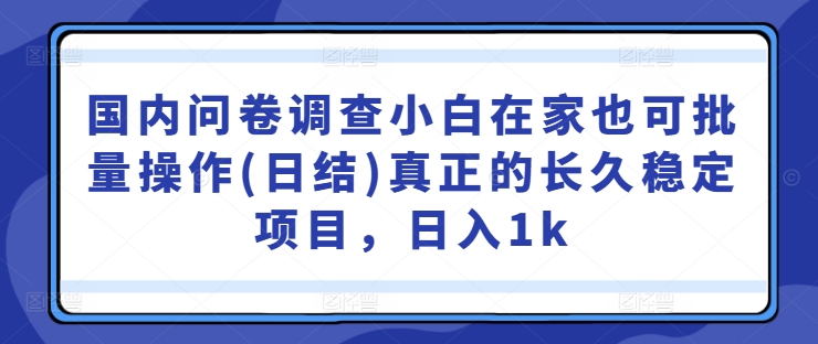 国内问卷调查小白在家也可批量操作(日结)真正的长久稳定项目，日入1k【揭秘】-大东资源库