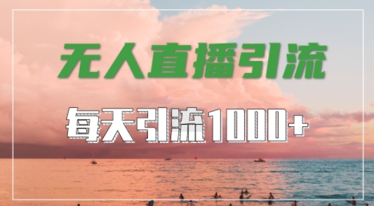 抖音快手视频号全平台通用，无人直播引流法，超暴力引流1000+高质量精准创业粉【揭秘】-大东资源库