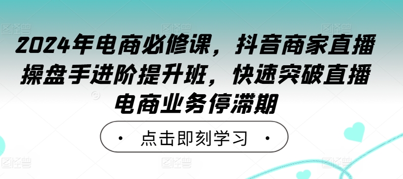 2024年电商必修课，抖音商家直播操盘手进阶提升班，快速突破直播电商业务停滞期-大东资源库