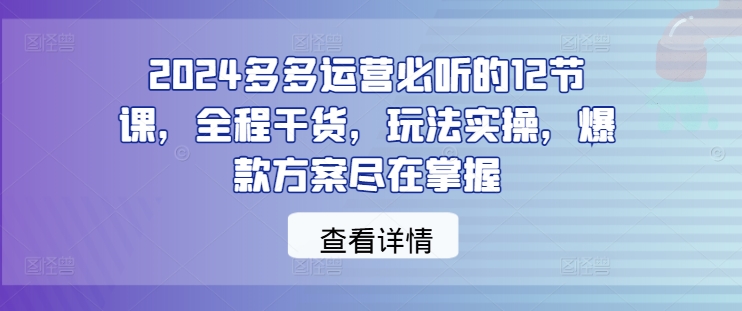 2024多多运营必听的12节课，全程干货，玩法实操，爆款方案尽在掌握-大东资源库