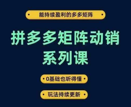 拼多多矩阵动销系列课，能持续盈利的多多矩阵，0基础也听得懂，玩法持续更新-大东资源库