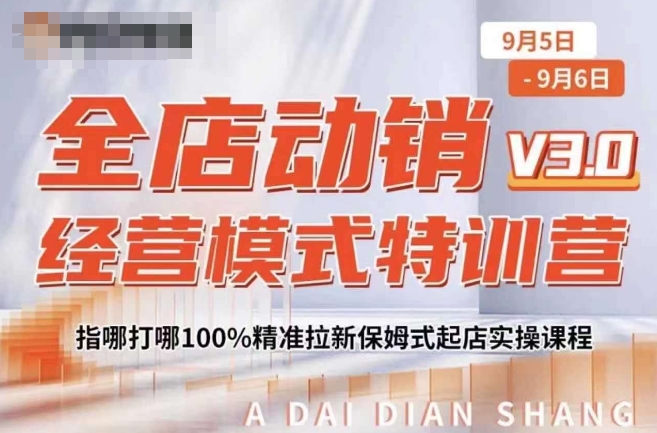 全店动销经营模式特训营，指哪打哪100%精准拉新保姆式起店实操课程-大东资源库