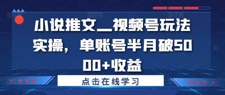 小说推文—视频号玩法实操，单账号半月破5000+收益-大东资源库