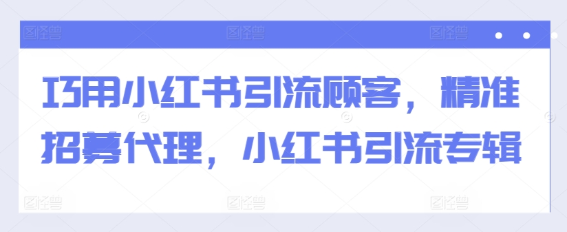巧用小红书引流顾客,精准招募代理,小红书引流专辑-大东资源库