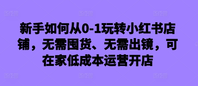 新手如何从0-1玩转小红书店铺，无需囤货、无需出镜，可在家低成本运营开店-大东资源库