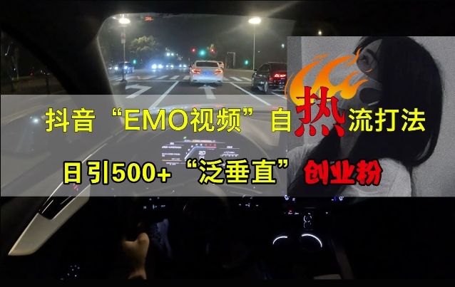 抖音EMO视频自热打法，日引500+“泛垂直”创业粉-大东资源库
