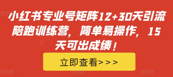 小红书专业号矩阵12+30天引流陪跑训练营，简单易操作，15天可出成绩!-大东资源库