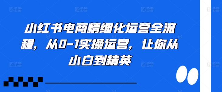 小红书电商精细化运营全流程，从0-1实操运营，让你从小白到精英-大东资源库