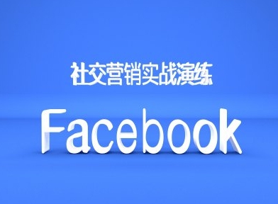Facebook社交营销实战演练，外贸人绝对不能错过的营销推广平台-大东资源库